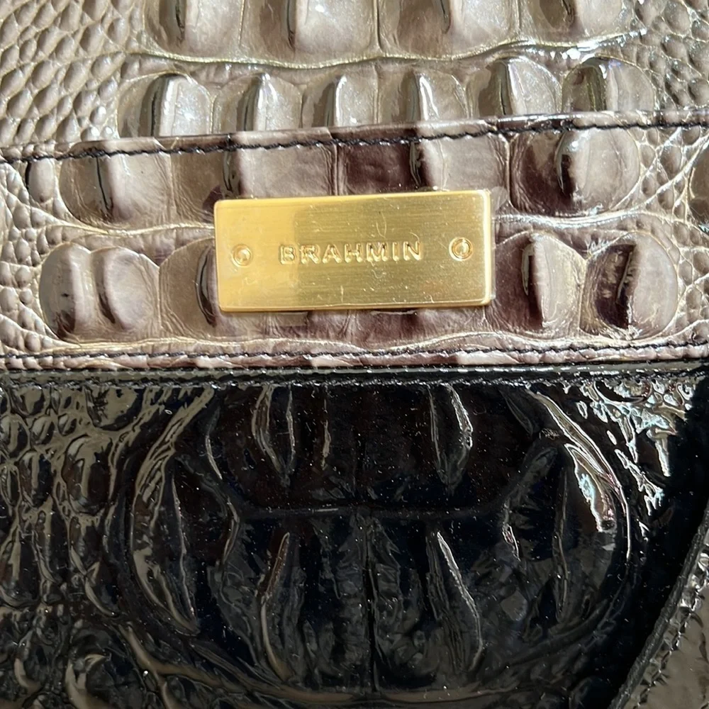 Brahmin melbourne asher